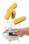 Washing corn on the cob in a colander