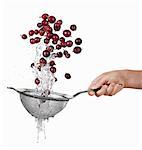 Washing gooseberries in a colander