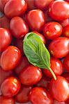 Tomates Roma et une feuille de basilic