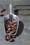 Coffee beans on a scoop