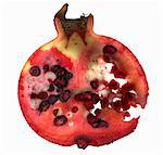 A slice of pomegranate