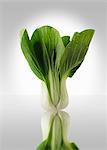 Pak choi