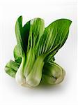 Two heads of pak choi