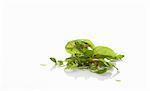 Fresh lettuce leaves against white background