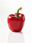 A red pepper