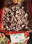 Basket of Bluefoot Mushrooms at The Carouge Market is in Geneva Switzerland