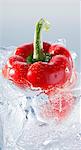 Red pepper in a block of ice