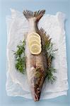 A fish with lemons and dill on parchment paper