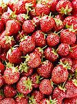 Strawberries (full frame)