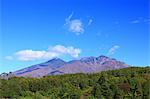 Beautiful View Of Trees And Mountain Range