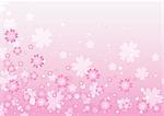 Pink Floral Background