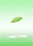 Single Green Leaf Floating Over Rippled Water