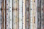 Bamboo Wall