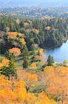 Herbstbäume und See