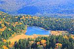 Vue magnifique sur la forêt luxuriante et lac