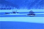 Frozen Lake and Trees In Winter