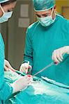 Chirurgien grave à l'aide d'une paire de ciseaux chirurgicaux