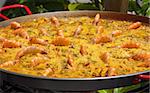 traditional spanish paella with prawn on  big pan