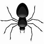 illustration of a black spider, symbol for poison and halloween