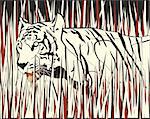 Vector illustration of a tiger prowling through dry grass