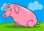 cartoon illustration of cute pink farm pig