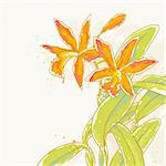 The contour drawing orchids flower with leafs. Can be used as background for invitation cards.