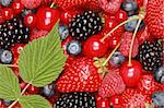 Cherries, strawberries, bilberries, red currants, raspberries and blackberries side by side