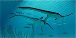 Three Plesiosaurus dinosaurs migrate along with a school of fish to warmer Jurassic seas.