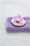 Orchid and Stone on Folded Towel