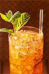 Mint Julep in ein Glas mit Stroh und Minze garnieren