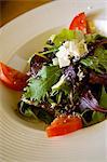 Salad with Mixed Organic Baby Greens, Tomatoes and Cheese