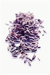 Dried lavender flowers