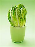 Cos lettuce in a green cup