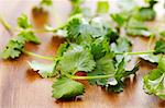 Fresh coriander on a wood background