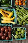 Fresh Vegetables in Green Cardboard Containers; From Above; Jalapenos, Cherry Tomatoes, Italian Broad Beans, Jamaican Burr Gherkins, Mini Summer Squash