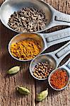 A Set of Measuring Spoons with Cumin, Turmeric, Mustard Seed, Chili Powder and Cardamom