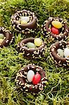 Chocolate nests in moss