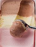 Neapolitan ice cream in a plastic box and an ice cream scoop