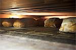 Various types of bread in an oven