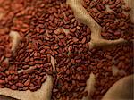 Cocoa beans on jute