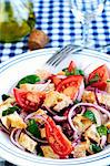 Panzanella (Italian bread salad)