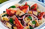 Panzanella (Italian bread salad)