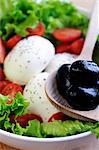 Mozzarella with tomatoes, lettuce and olives