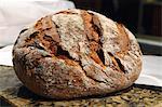 Rustic country bread from Italy