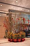 Fleurs de pêchers et agrumes affichées dans le hall The Harbourside célébrant le nouvel an chinois, Hong Kong