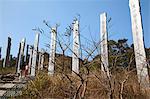 Weisheit Pfad, Lantau Island, Hongkong