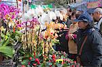 Menschen einkaufen im Flower-Markt, Tsuen Wan, Hong Kong