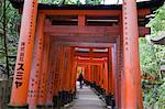 Tunnel of torii gates at Fushimi Inari Taisha Shrine, Kyoto, Japan