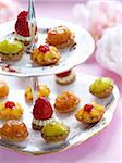 Presentation dish of mini fuit tartlets