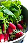 Radishes